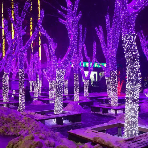 Purple 66 Foot 200 LED String Lights With 8 Modes For Indoor And Outdoor Christmas Tree Wedding Party Decor End To End Connectable Up To Four Sets Lit Fairy Glow For Any Event wrapped around trees in a snowy park.
