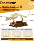 Mosasaurus Fossil Building Block Set With Gear Driven Skeleton on a display stand showing labeled parts: head, flippers, tail, spine.