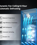 Dynamic fan cooling and auto defrost features of Built Tough 16 Cu Ft Commercial Upright Display Freezer Merchandiser.