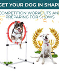 Dog using Dog Agility Training Set with 4 Piece Obstacle Course including Jump Bar Tire Jump Pause Box and Weave Poles