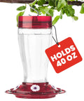 Bird Health Plus Big Gulp Hummingbird Feeder With Five Flower Shaped Ports, glass exterior, 40 oz capacity, hanging outdoors.