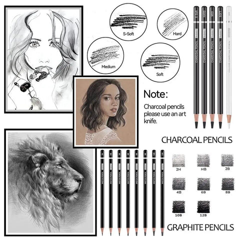 22 Piece Sketching Pencil Set For Drawing With Graphite Pencils 12B To 2H Plus Black And White Charcoal Pencils Charcoal Sticks Blending Stumps Sharpener Kneaded Eraser And Vinyl Eraser Pro Grade For Artists And Students