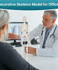 17 Inch Portable Skeleton Anatomy Model With Movable Skull, Arms And Legs For Education And Teaching on doctor's desk