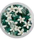 White Clematis Flower Round Cabinet Knobs 1.37 Inch 4 Pack For Kitchen Cabinets And Drawers floral design detail
