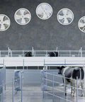 Heavy Hitter Industrial Turbine Fan That Goes Hard With Top Notch Ventilation And A Smooth Exhaust Setup Featuring Six Blades For Wide Angle Cooling Across Workshops And Garages On Standard Residential Voltage mounted on a wall above cattle pens.