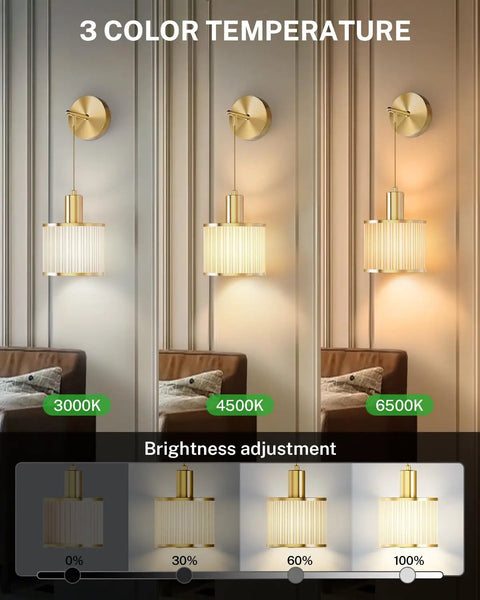 Premium Battery Operated Wall Sconces Set Of Two Wireless Rechargeable Led Lights showing 3 color temperatures and brightness options.