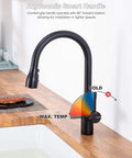 Colin Black Kitchen Faucet With Pull Down Sprayer And Magnetic Docking, 16 Inch High Arc Sink Faucet In Matte Black Finish shown in kitchen