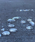 Water droplets forming on a concrete surface treated with Tough As Nails Penetrating Concrete Sealer For Driveways And Retaining Walls Breathable Moisture Shield Keeps Slabs Dry No Sweat Waterproof Cover Pro Grade Construction Ready Five Gallon Bucket.