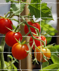 Heavy Duty Polyester Plant Trellis Netting 5 Ft By 15 Ft With 6 Inch Mesh Workhorse For Vines Veggies Fruits And Flowers