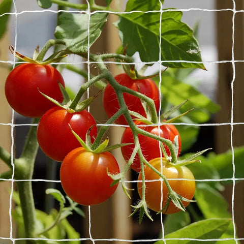 Heavy Duty Polyester Plant Trellis Netting 5 Ft By 15 Ft With 6 Inch Mesh Workhorse For Vines Veggies Fruits And Flowers