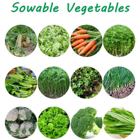 Assorted vegetables for sowing with Metal Precision Garden Push Seeder With Five Row Capacity Walk Behind Cultivator And Seed Spreader