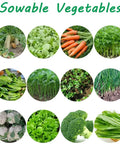 Assorted sowable vegetables for Metal Garden Seeder With Five Row Capability Walk Behind Planter, including radish and cabbage