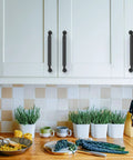 10 Pack 5 Inch Matte Black Kitchen Cabinet Handles And Drawer Pulls installed on white cupboards in a kitchen setting with plants and utensils.