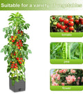 Two Pack Raised Garden Bed Tomato Planter With Trellis And 57 Inch Tomato Cage Plant Support Self Watering Planter for tomatoes