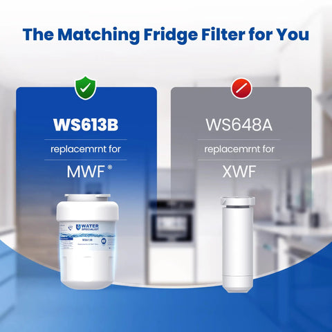 Comparison of WS613B and WS648A replacement refrigerator water filters in a kitchen setting.