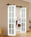 Bi-Fold Sliding Barn Door Kit With 10 Lite Frosted Glass Panels, 60 Inch Wide By 84 Inch Tall, installed in living room