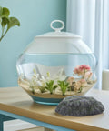 Top Shelf Floating Turtle Basking Platform With Smooth Stairs And Low Key Indestructible Resin Build beside a decorated aquarium.