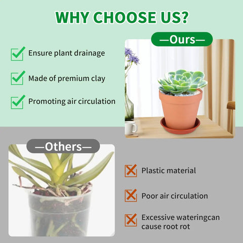 Comparison of terracotta pot with succulent on table and plastic pot with plant, highlighting benefits of Six Pack 6 Inch Terracotta Pots With Saucers For Indoor Outdoor Plants Drainage Hole Mesh Liners Included Great For Crafts And Wedding Favors Great For Gifting And Decor.