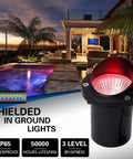 Evening view of installed Eight Pack RGBW Landscape Lights For Outdoors, In-Ground Well Lights, illuminating with red light