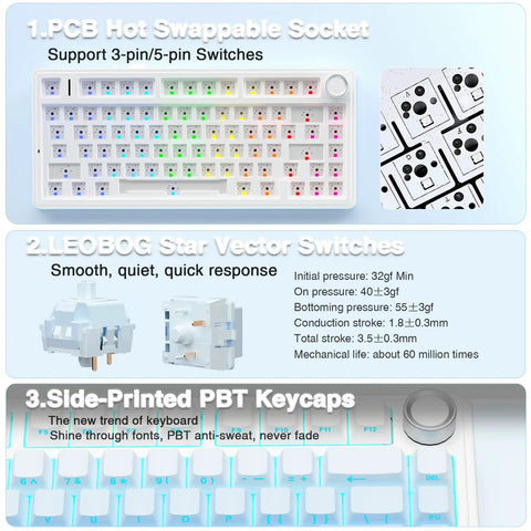 Rock Solid Gasket Mechanical Keyboard With Hot Swappable Switches and Wireless Bluetooth showing colorful key switch sockets and PBT keycaps.