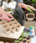 Biodegradable Seed Starter Tray Kit With 120 Cell Trays Ten Pack Seedling Pots Twenty Labels And Two Transplant Tools shown in use.