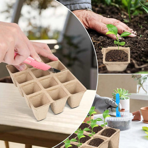 Biodegradable Seed Starter Tray Kit With 120 Cell Trays Ten Pack Seedling Pots Twenty Labels And Two Transplant Tools shown in use.