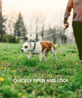 Person walking dog with leash featuring Sixteen Pack Heavy Duty Tactical Carabiners Keychain Clips With Spring Snap D Rings