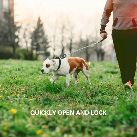 Person walking dog with leash featuring Sixteen Pack Heavy Duty Tactical Carabiners Keychain Clips With Spring Snap D Rings