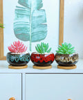 Colorful Five Pack Cute Ceramic Succulent Planters With Drainage And Attached Saucers, Round 4x2 Inches on a shelf.