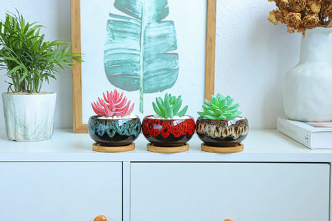 Colorful Five Pack Cute Ceramic Succulent Planters With Drainage And Attached Saucers, Round 4x2 Inches on a shelf.