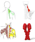 Illustration showing trapezius pressure points with Trapezius Massager For Neck And Upper Back Pain Relief, Manual Trigger Point Tool