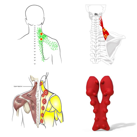 Illustration showing trapezius pressure points with Trapezius Massager For Neck And Upper Back Pain Relief, Manual Trigger Point Tool