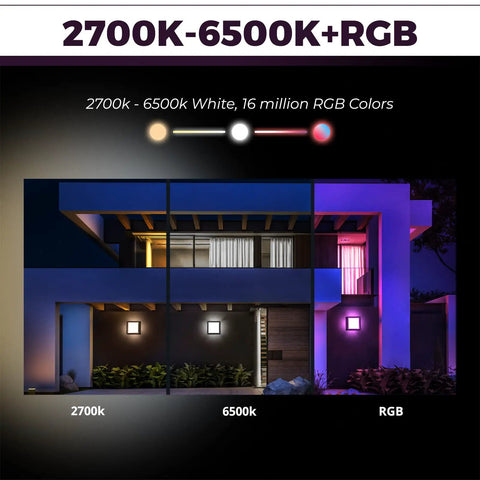 Outdoor Smart Wall Lights With Alexa And Google Assistant Control No Brainer Easy Setup RGB Plus Tunable 2700K To 6500K display