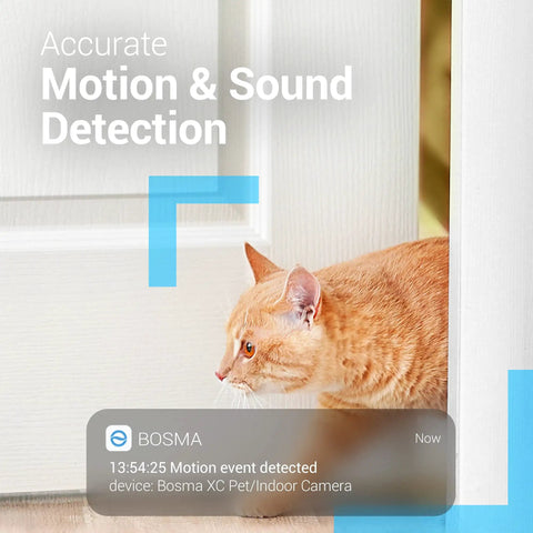 Cat detected by Pet Cam With 1080p WiFi Night Vision 360 Degree Wide View Rotating Base Two Way Audio Motion And Sound Alerts