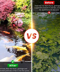 Before and after image demonstrating pond clarity using All In One Pond Filter Pump 950 GPH With UV C 13W 110V Inverter Fountain Kit