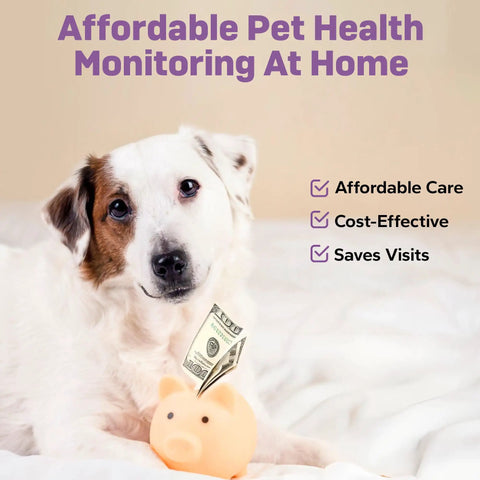 Affordable Pet Health Monitoring At Home with dog and savings piggy bank, 10 Parameter Urinalysis Test Strips For Pets A Complete Urine Test Kit For Dogs And Cats Including Leukocytes Glucose Bilirubin Ketones Specific Gravity Blood pH Protein Urobilinogen And Nitrite