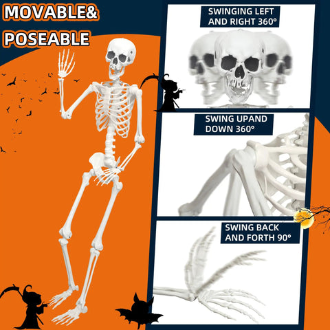 Epic Life Size Halloween Skeleton With Movable Joints, Realistic Gray Plastic Bones, 5.4 Feet Tall, Weather Resistant, Poseable