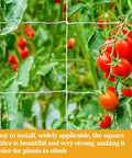 Heavy Duty Garden Trellis Netting 5 By 15 Feet Polyester Nylon Square Mesh For Climbing Plants Fruits Vegetables And Vines