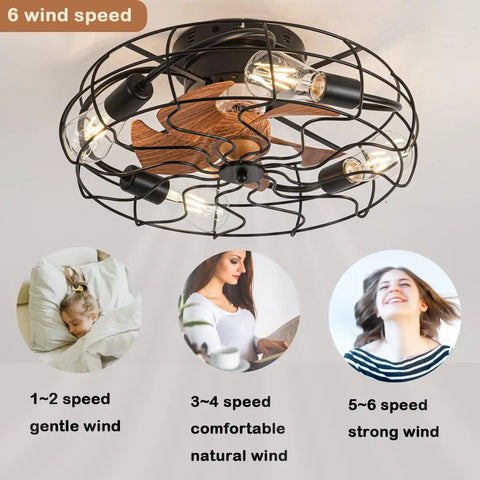 Dope Industrial Black Caged Ceiling Fan With Lights 20 Inch showing light bulbs, 6-speed control and remote features