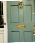 Heavy Duty Double Action Spring Hinge 2Pack Stainless Steel Cafe Saloon Door Hardware on blue door with brass fixtures.