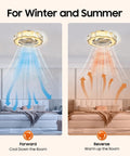 Ceiling Fan with Light 23 Inch Wireless Controller Low Noise for Bedroom showing summer and winter airflow modes.