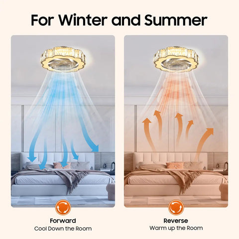 Ceiling Fan with Light 23 Inch Wireless Controller Low Noise for Bedroom showing summer and winter airflow modes.