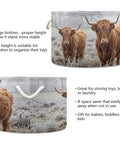 Cow Print Cotton Rope Storage Basket Large Collapsible Grab-And-Go Organizer with Highland cow design, showing canvas and rope.