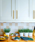 Kitchen with 5 inch champagne bronze cabinet handles on white cabinets, part of 10 Pack 5 Inch Champagne Bronze Cabinet Handles For Kitchen Cabinets And Drawers 128mm Cabinet Pulls Hardware For Cupboards And Doors Durable Metal Construction With Smooth Operation And Modern Decor.