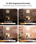 Brightness dimming modes of Four Pack Smart LED Bulbs 2.4GHz WiFi Tunable White 2500K To 6500K Dimmable 800 Lumens E26 A19