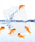 A Straight Up Fish Tank Divider Set That Slides Right In Without The Hassle Includes Tough Suction Cups And Lets You Cut It To Size For A Secure Custom Fit On Any Standard Aquarium Today, shown with goldfish and water splashes.