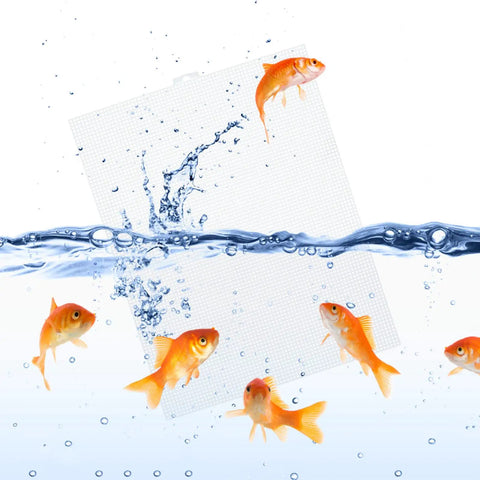 A Straight Up Fish Tank Divider Set That Slides Right In Without The Hassle Includes Tough Suction Cups And Lets You Cut It To Size For A Secure Custom Fit On Any Standard Aquarium Today, shown with goldfish and water splashes.