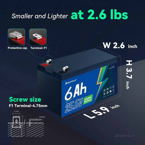24V LiFePO4 Battery Pack 6Ah With 29.4V 1A Charger 20A BMS Deep Cycle Rechargeable Lithium Battery dimensions and features