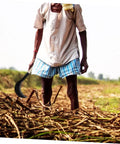 Person using Manganese Steel Long Handle Scythe For Weeding And Lawn Care Tough As Nails Heavy Duty Garden Tool in a field