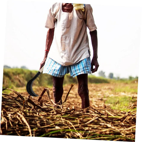 Person using Manganese Steel Long Handle Scythe For Weeding And Lawn Care Tough As Nails Heavy Duty Garden Tool in a field